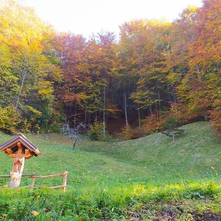 Arche Verzegnis - Unita Abitativa Ammobiliata Ad Uso Turistico Chiaicis Экстерьер фото